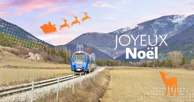 pignes_noel.jpg